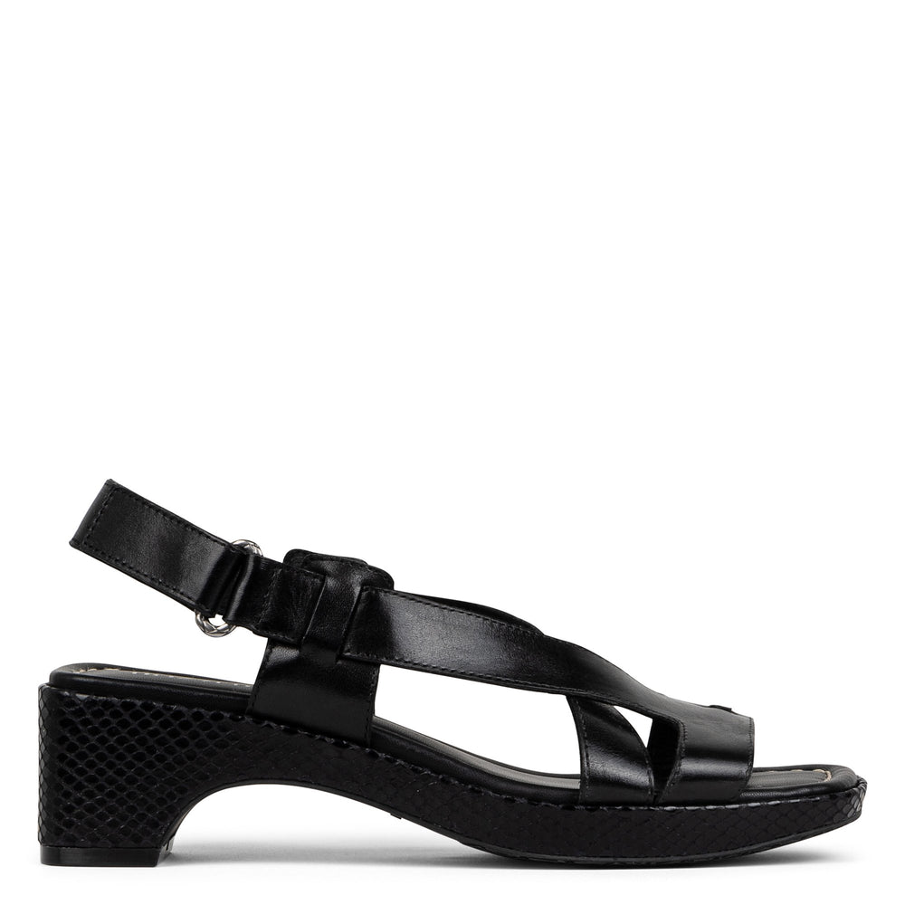ROMIN | Women Donald Pliner Shoes Black