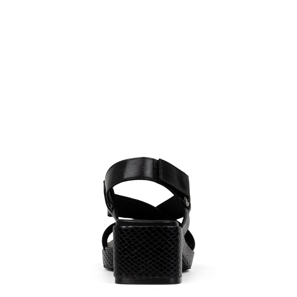 ROMIN | Women Donald Pliner Shoes Black