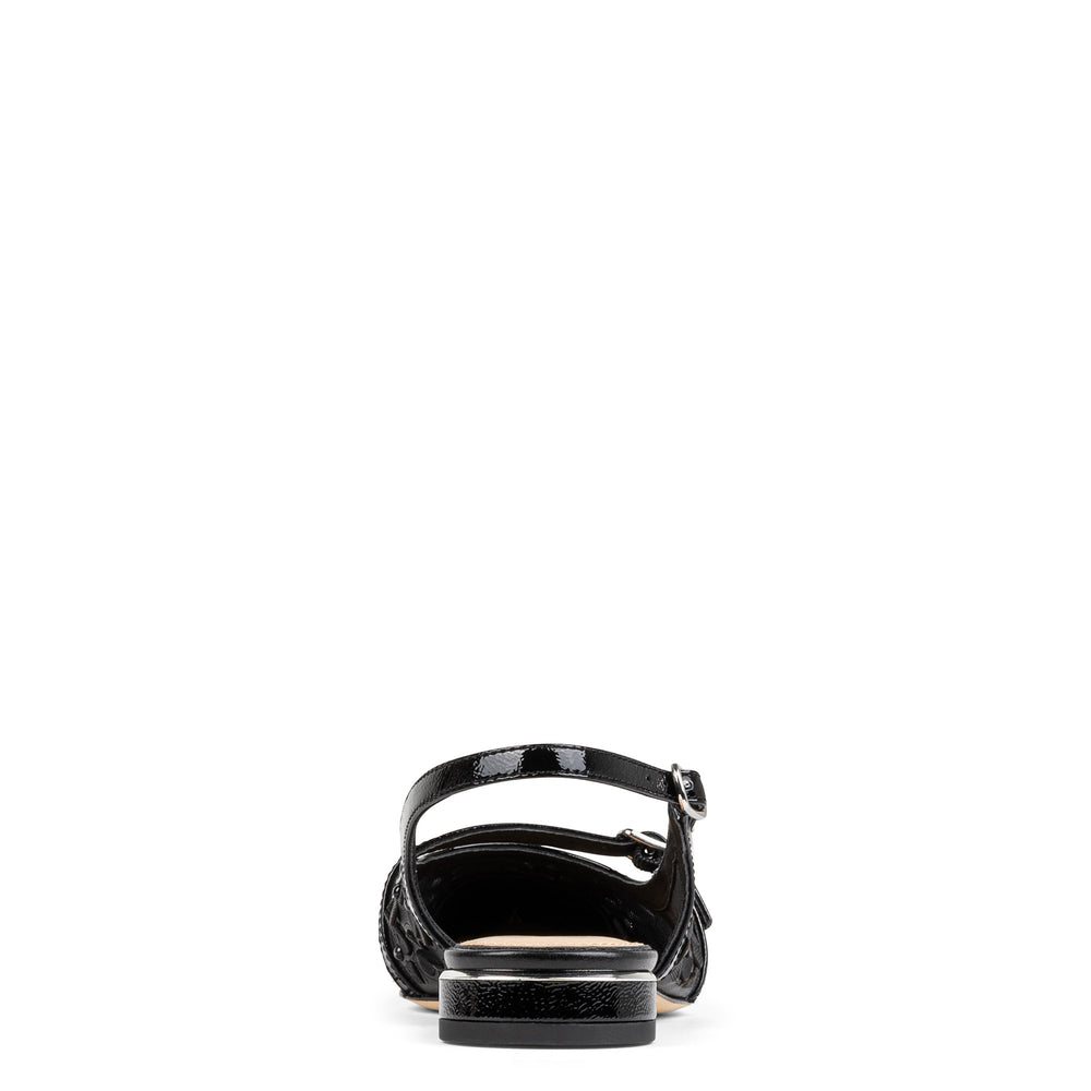 ROZAMAY | Women Donald Pliner Shoes Black