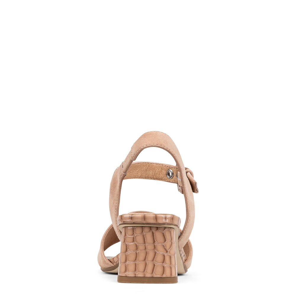 AARO | Women Donald Pliner Shoes Rosette Suede