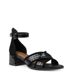 AVAI | Women Donald Pliner Shoes Black