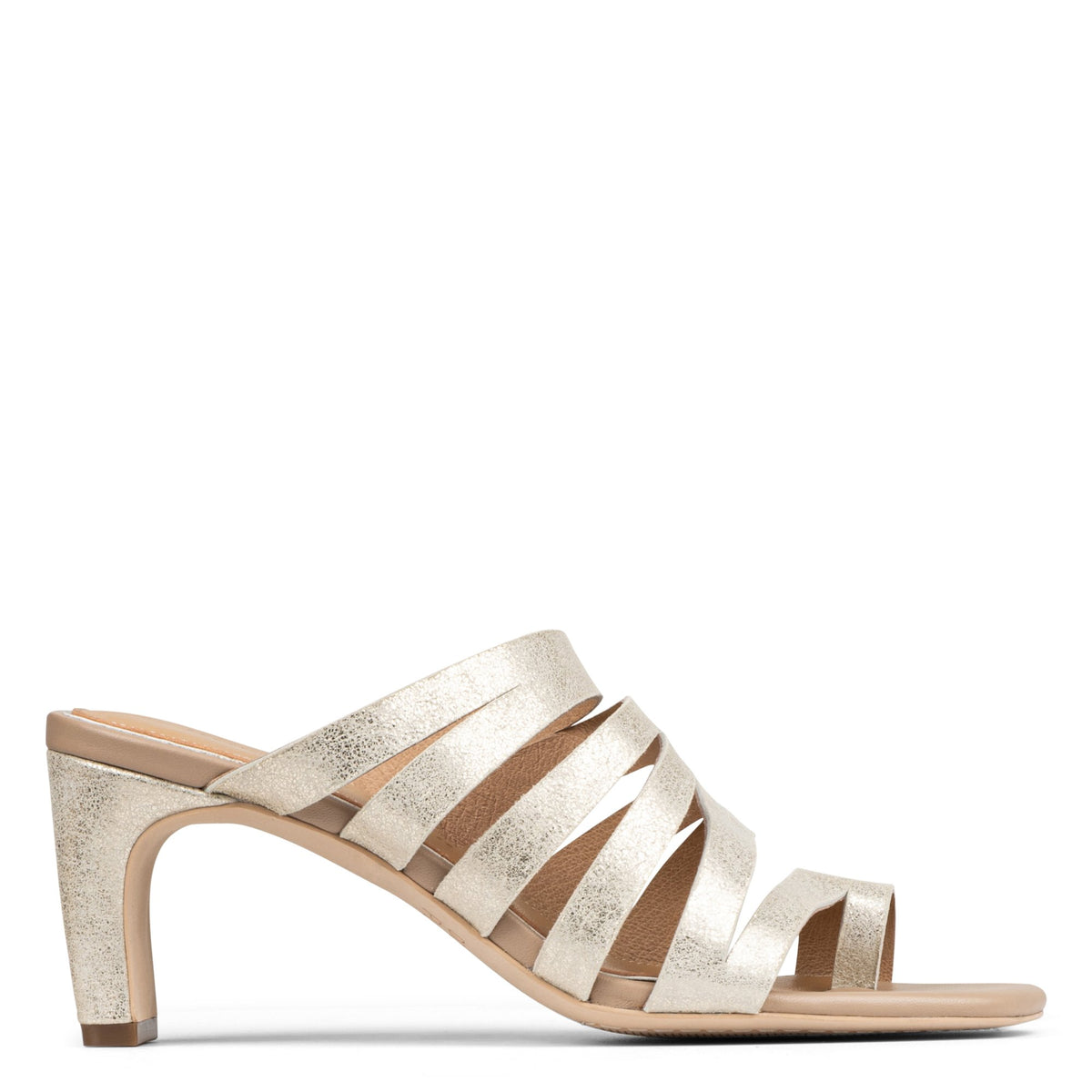 HAVANNA | Women Donald Pliner Shoes Platino