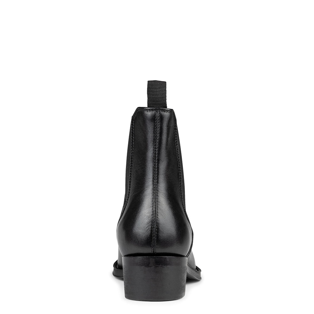 ASHFORD | Men Donald Pliner Shoes Black